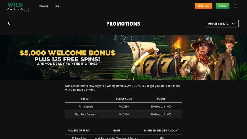 Best ripper online casino in Australia